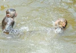 水里有鬼吗？传说中水里存在的2种灵异生物：水鬼、水猴子